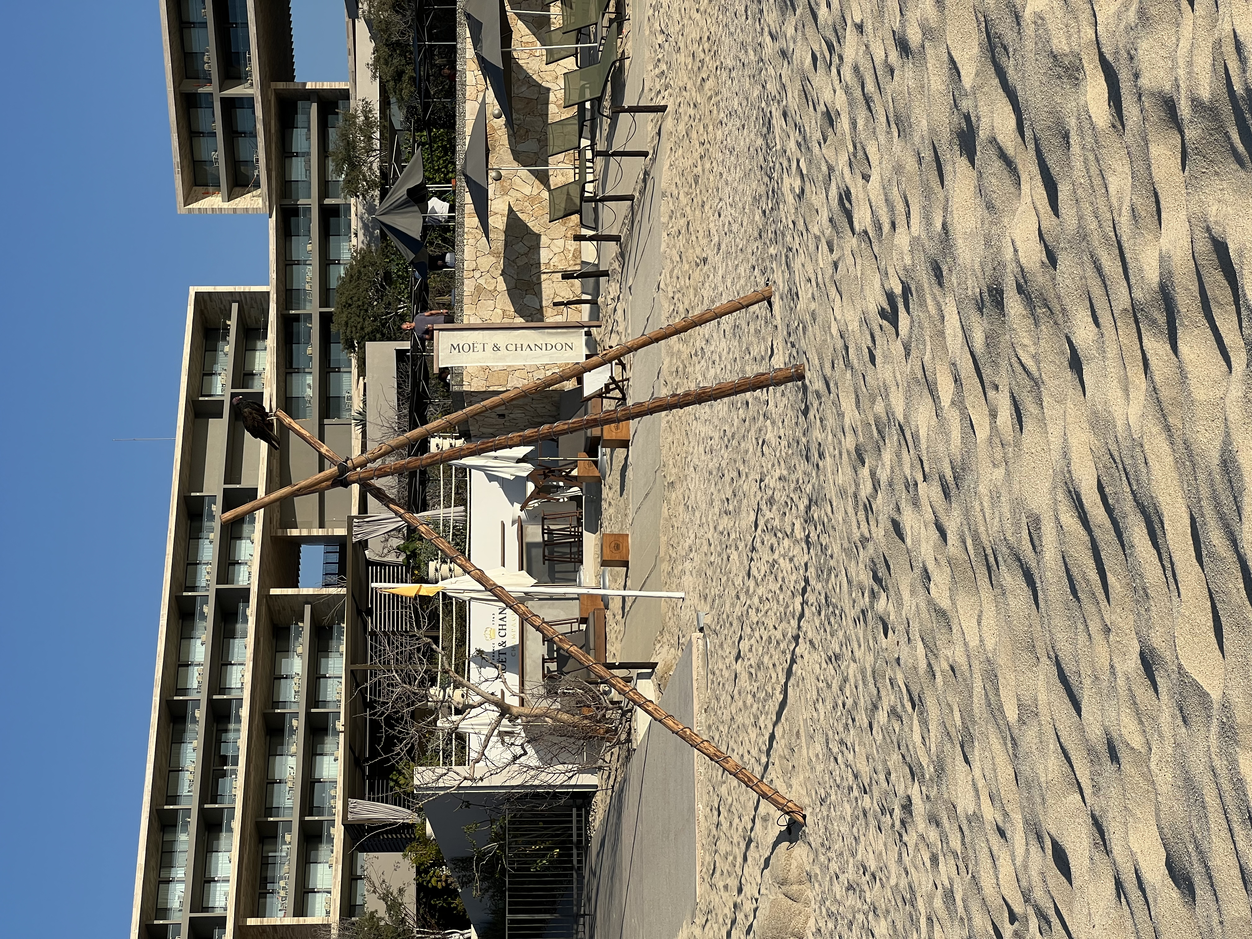 ./2024/13 - Cabo/IMG_4962.jpg